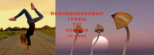 мет Баксан