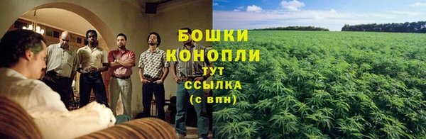 каннабис Балахна