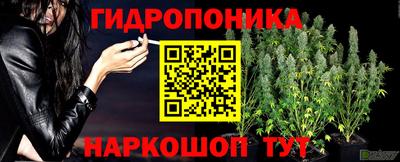 стаф Краснокаменск