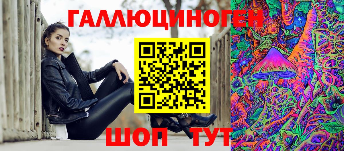 Галлюциногенные грибы Psilocybe Калуга
